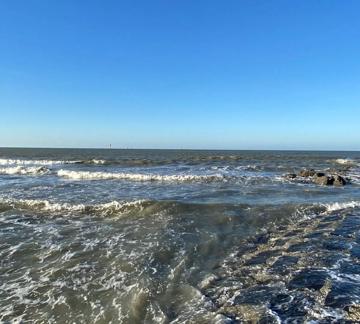 Apartmán Rozee Ostende